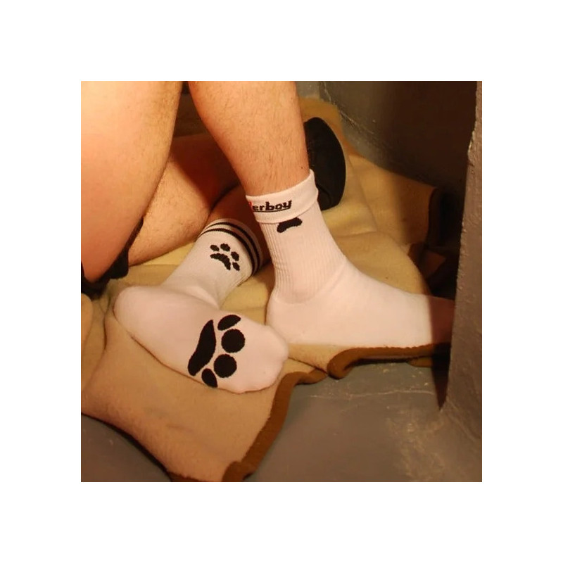 Sk8erboy Socks Puppy Sk8terboy